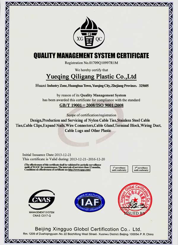ISO9001 Certificate Qiligang